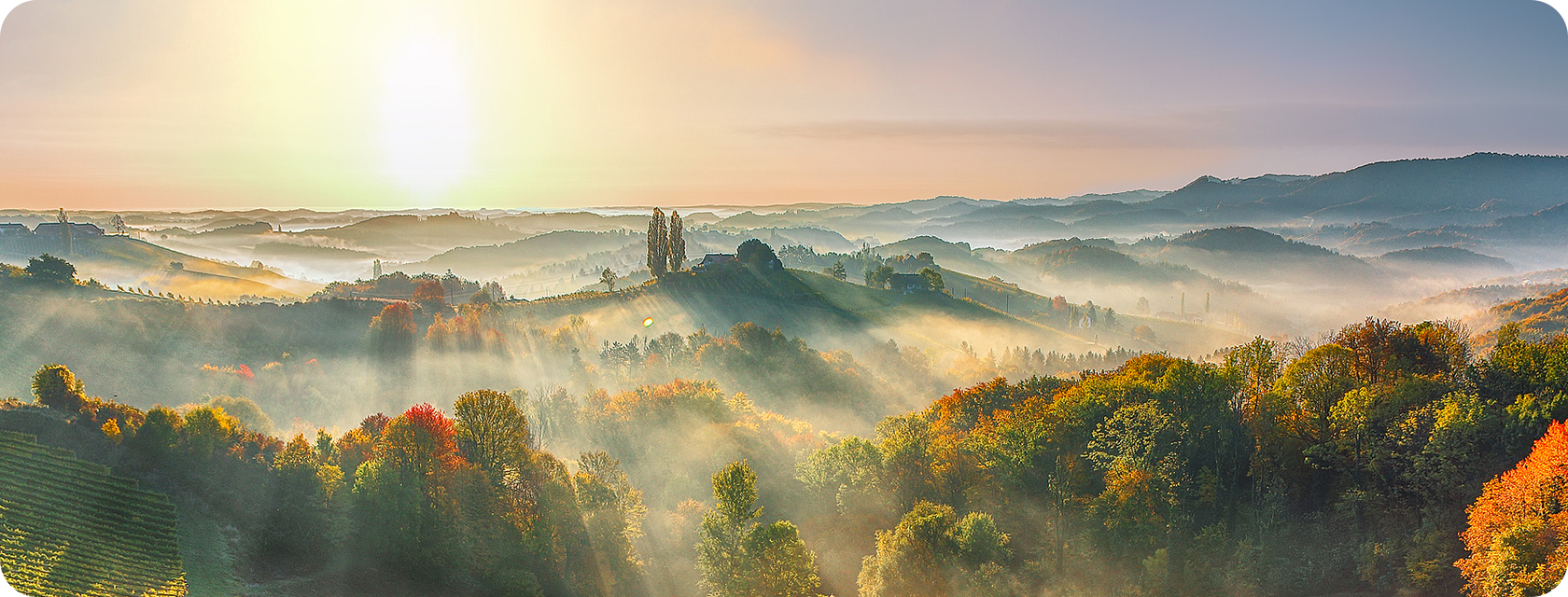 可持续发展战略